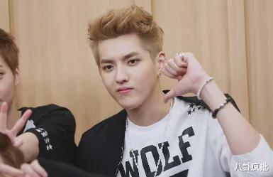 娱乐圈吃瓜李宏毅是谁啊,揭秘他的明星之路